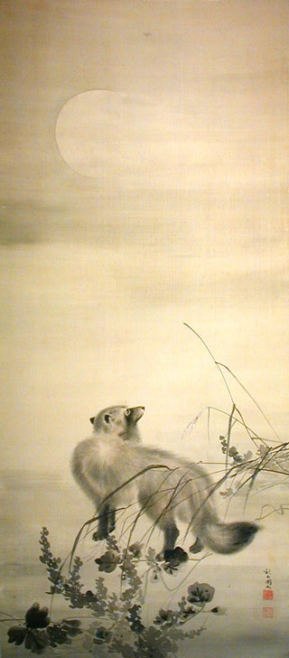 Moon tanuki