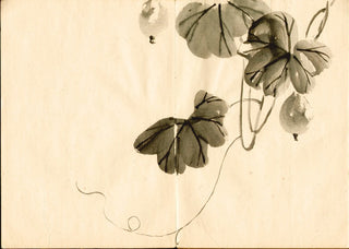 album de peintures Shijo