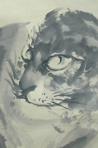 dziki tygrys (猛虎)