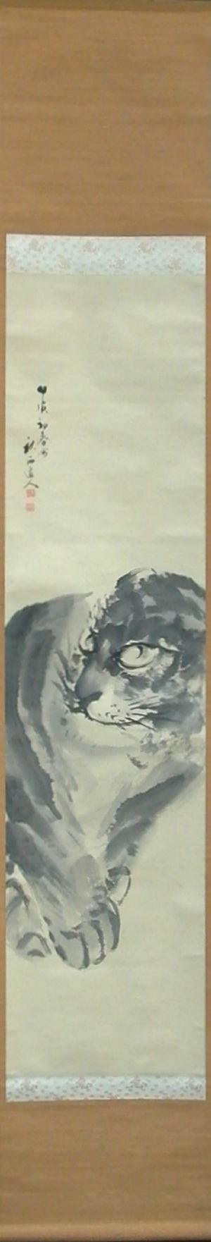 dziki tygrys (猛虎)
