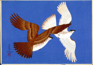 Oiseaux de proie