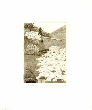 Spring No2