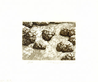 Mountain Stream