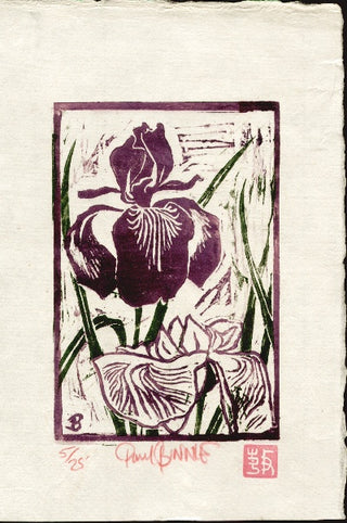Iris