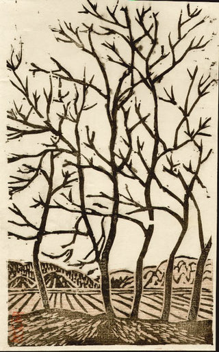 Paysage d'hiver