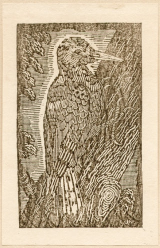 Woodpecker