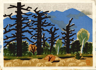 Nikko National Park - Senjohara