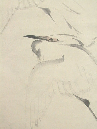 herons