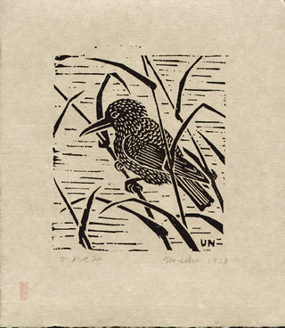 Eisvogel