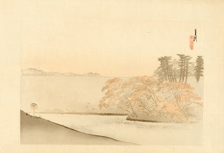 Island in the middle of a pond