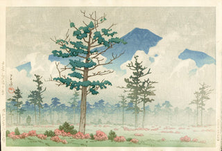 Senjô-Ebene, Nikkô