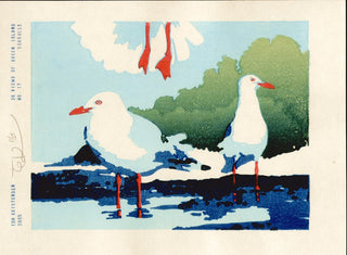 36 Views of Green Island, No. 17 Seagulls