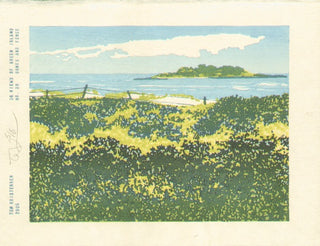 Dunes et clôture