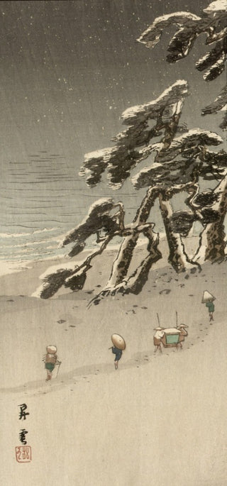 Winter Scene on a beach