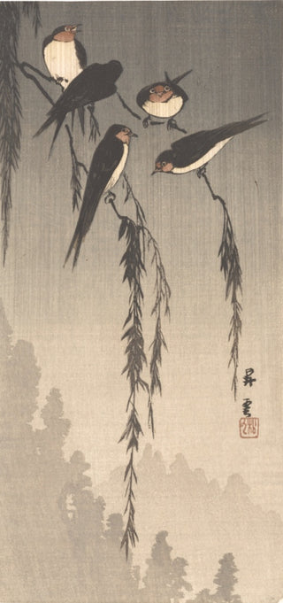 Swallows On wisteria