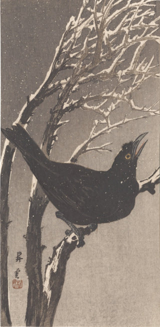 Crow On a branch