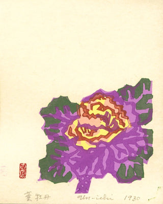 Zierkohl