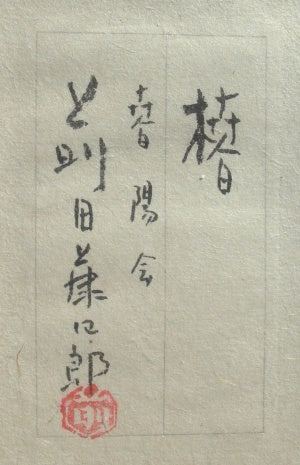 Camélia du Japon