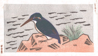 Eisvogel