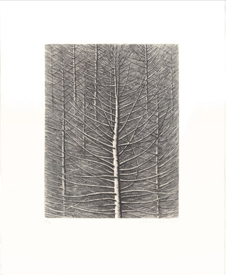 Image of a winter tree