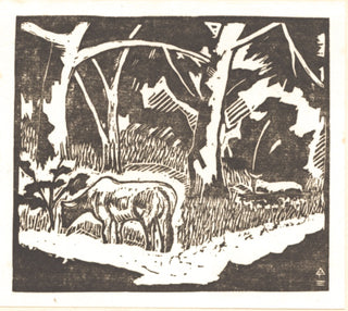 Picture of a cow