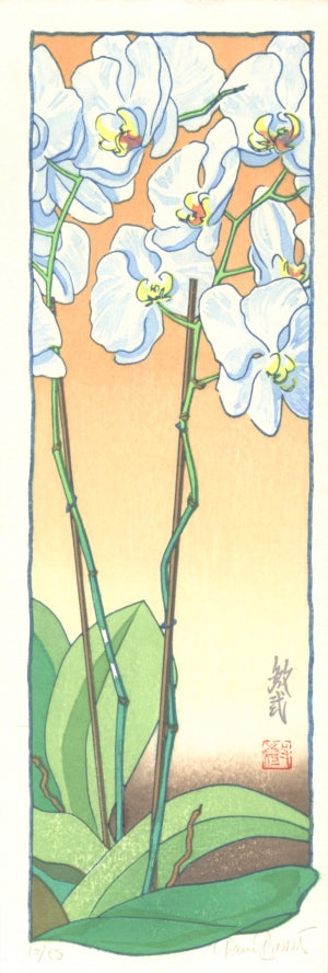 Orquídea