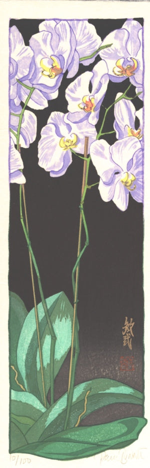 Orchidej