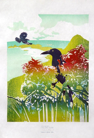 Currawongs - Lord Howe Island