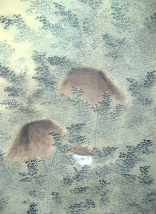 Bamboo grove