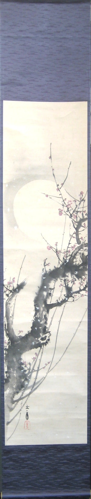 Blüten, Mond und Schneeflocken