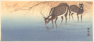 Two Deers