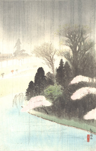 Rainy landscape