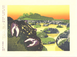 Rocas y cangrejos