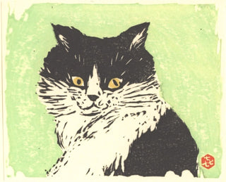 Katze