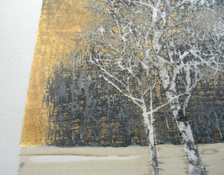 Arbres d'hiver