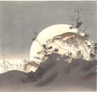 Birds and moon