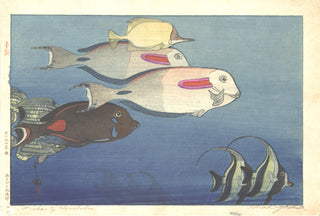 Fishes In Honolulu