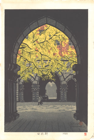 Ginkgos