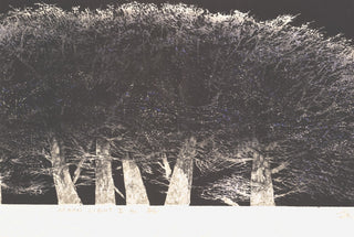Clair de lune II