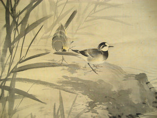 Wagtails