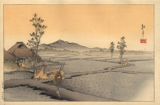 Farmer With ricefield