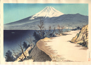 Le mont Fuji et la plage d'Izu