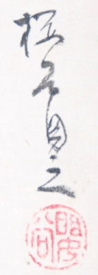 Küken