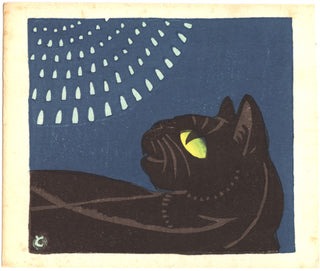 Katze und Feuerwerk