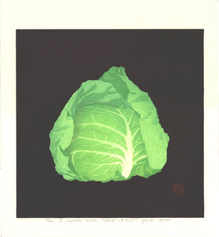 Japanese winter cabbage