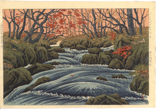 Rapids in autumn