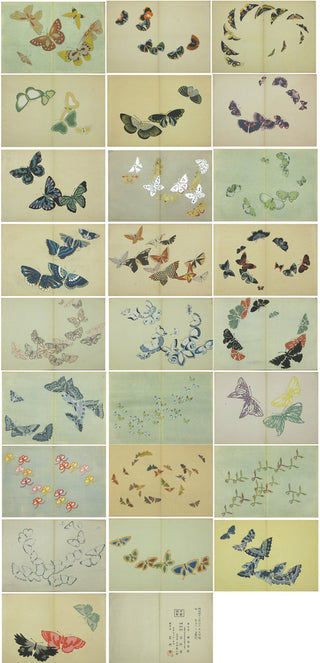 A Thousand Butterflies