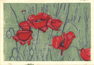 amapola roja silvestre