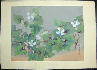 Dokudami No XXXII