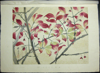 Nishikigi nr XXXXVIII